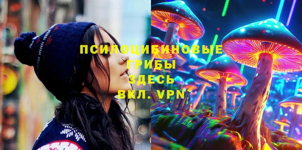 эйфоретик Богородицк