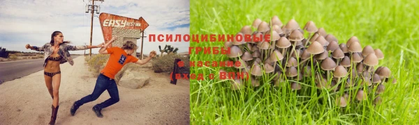 эйфоретик Богородицк