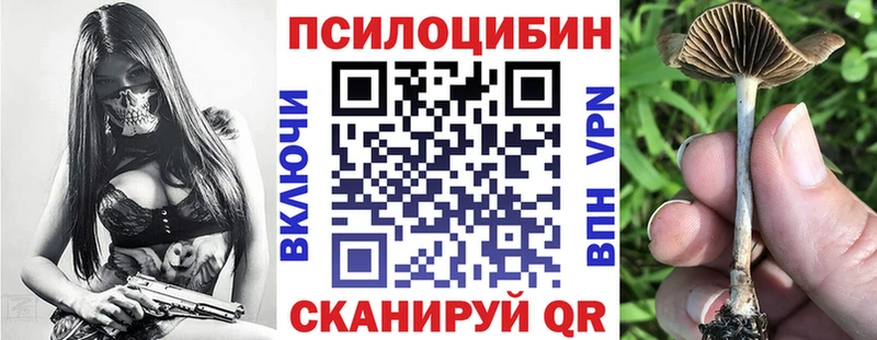 продажа наркотиков  Кузнецк  Псилоцибиновые грибы мицелий 