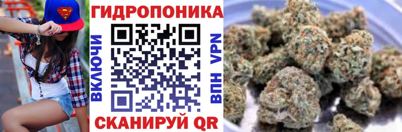 Шишки марихуана тримм купить закладку Кузнецк